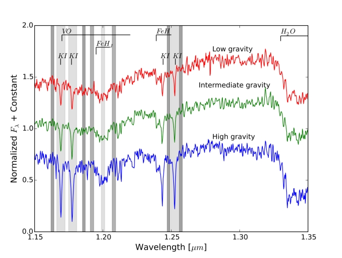 surface gravity examples in L dwarfs
